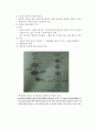생명과학의 이해 요약정리 : chapter 9 ~ 13 7페이지