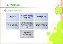 다문화 사회 교육 (차별과 편견을 넘어)  20페이지