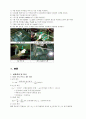 부유체 경사 실험 7페이지