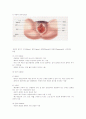 여성 성기관의 이해 2페이지