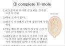 H-mole , 포상기태 .ppt 7페이지
