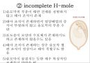 H-mole , 포상기태 .ppt 8페이지