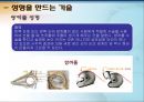 성형수술  4페이지