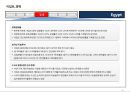 17개국 국가정보 및 개황 정리 68페이지