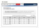 중국 국가정보 및 개황 정리 27페이지