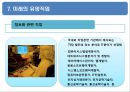 직업의 개요.ppt 13페이지