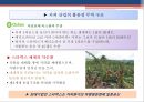 공정무역(Fair Trade)의 한계와 개선방향 PPT자료 12페이지