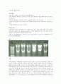 [아주대-생물학실험] (결과) DNA의 구조 및 추출 & DNA 전기영동 6페이지
