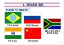 BRICS(브릭스)의 경제부상과 시사점.PPT자료 3페이지