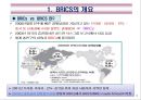 BRICS(브릭스)의 경제부상과 시사점.PPT자료 4페이지