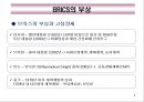 BRICS(브릭스)의 경제부상과 시사점.PPT자료 6페이지