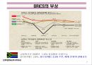 BRICS(브릭스)의 경제부상과 시사점.PPT자료 7페이지