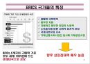 BRICS(브릭스)의 경제부상과 시사점.PPT자료 8페이지