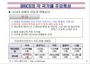 BRICS(브릭스)의 경제부상과 시사점.PPT자료 10페이지