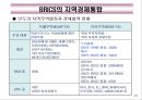 BRICS(브릭스)의 경제부상과 시사점.PPT자료 24페이지