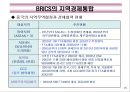 BRICS(브릭스)의 경제부상과 시사점.PPT자료 25페이지
