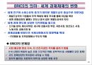 BRICS(브릭스)의 경제부상과 시사점.PPT자료 26페이지
