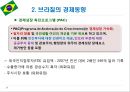 브라질 경제성장과 향후 전망.PPT자료 13페이지