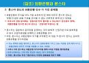 금산분리 14페이지