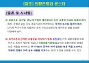 금산분리 17페이지
