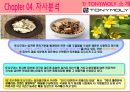 [토니모리(TONYMOLY) 마케팅전략]서론/화장품시장분석/화장품 산업분석/자사분석/경쟁사분석/3C/STP/4P/SWOT전략.ppt  21페이지