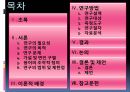 월드컵이 스포츠응원문화에 미치는 영향 2페이지