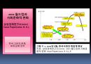 월드컵이 스포츠응원문화에 미치는 영향 12페이지
