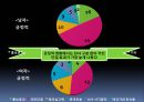 월드컵이 스포츠응원문화에 미치는 영향 22페이지