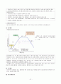 미생물(원핵세포, 진핵세포) 12페이지