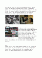 핫식스(HOT6IX) 마케팅STP,SWOT,4P전략분석과 핫식스 HOT6IX 브랜드분석 및 앞으로의 발전방향 제안 18페이지