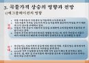 애그플레이션PPT 18페이지