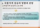 애그플레이션PPT 20페이지