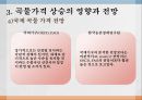 애그플레이션PPT 22페이지