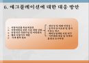 애그플레이션PPT 34페이지