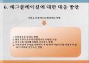애그플레이션PPT 35페이지