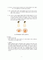 [간호학 임상 CASE] 만성 폐쇄성 폐질환 (Chronic obstructive pulmonary disease : COPD) 3페이지