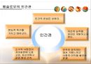 제14강 매슬로우(Maslow)의 인본주의 이론.ppt 3페이지