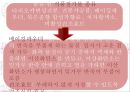 가공식품과 건강보조식품.ppt 14페이지