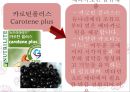 가공식품과 건강보조식품.ppt 18페이지