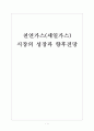 [천연가스] 천연가스(셰일가스) 시장의 성장과 향후전망 보고서 1페이지