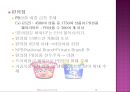 PB상품의 현황 및 발전방향 15페이지
