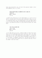 슐리만 보고서 4페이지