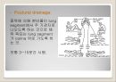호흡기계 중환자 간호.ppt 42페이지