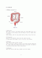 [성인]직장암 CASE (rectal cancer CASE) 2페이지
