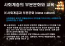 사회계층과 교육  11페이지