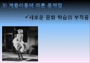 아이돌 문화 연구 (한 사회의 문화 아이콘으로서의 아이돌 영향 분석)사회계층.ppt 26페이지