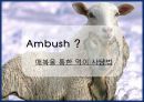 엠부쉬마케팅,마케팅전략,마케팅사례,마케팅,브랜드,브랜드마케팅,기업,서비스마케팅,글로벌,경영,시장,사례,swot,stp,4p 2페이지