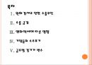 [수출] 한국의 수출현황과 문제점.PPT자료 2페이지
