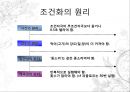[행동주의적 접근, Watson의 실험, Pavlov의 고전적 조건화, Thorndike의 시행착오설, Skinner의 조작적 조건화, Bandura의 사회학습이론, 행동주의적 접근 피피티, 행동주의적 접근  PPT자료 10페이지