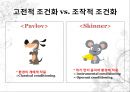 [행동주의적 접근, Watson의 실험, Pavlov의 고전적 조건화, Thorndike의 시행착오설, Skinner의 조작적 조건화, Bandura의 사회학습이론, 행동주의적 접근 피피티, 행동주의적 접근  PPT자료 24페이지